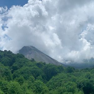 Meet your Posher, Angelina